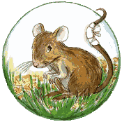 regenmaus